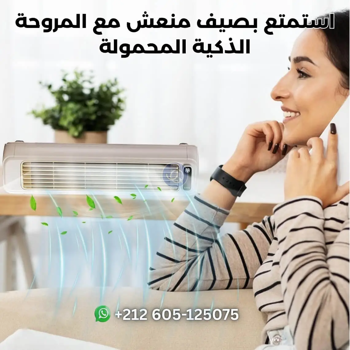 مكيف هواء محمول