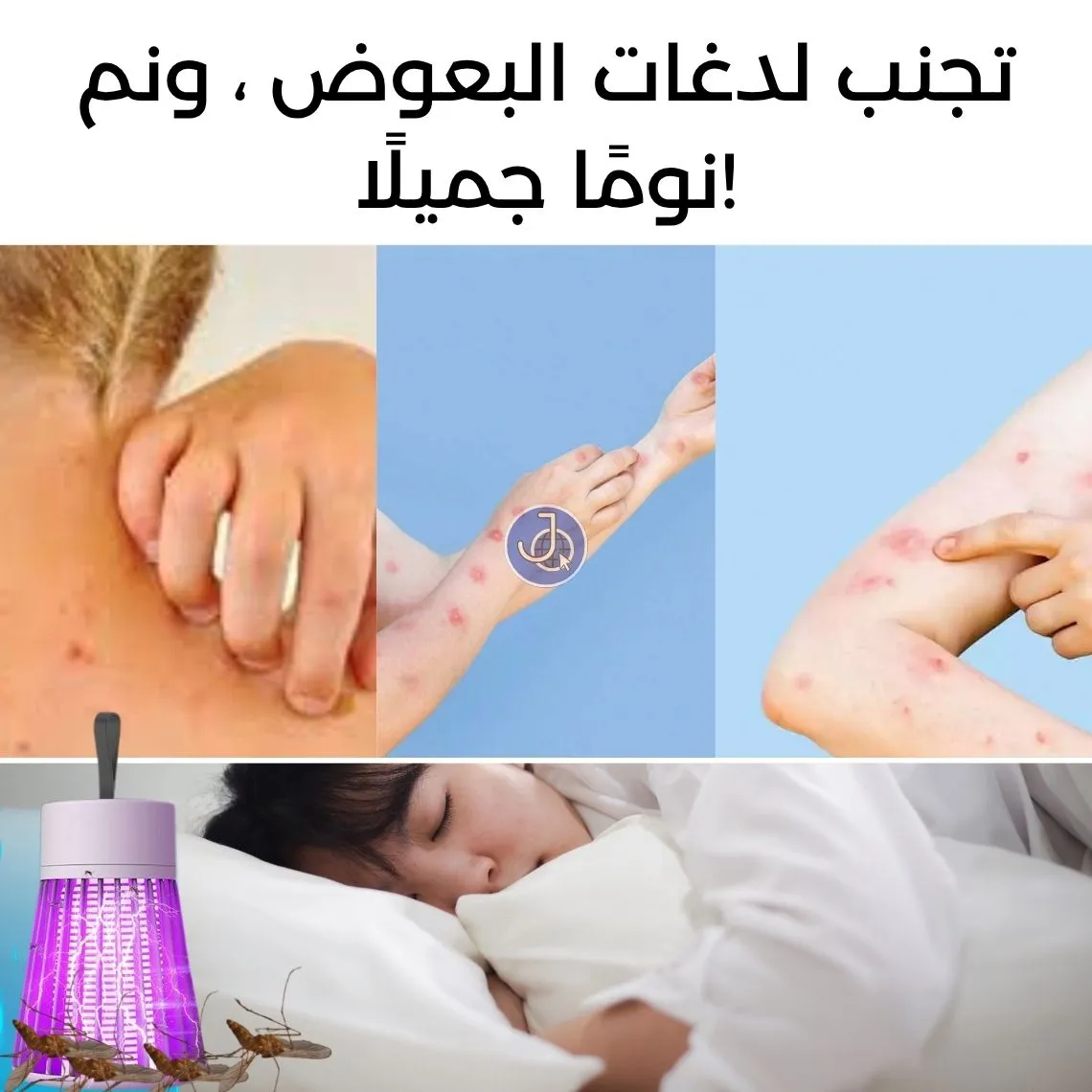 صورة 2